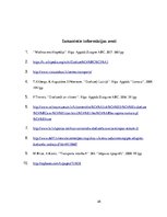 Referāts 'Transporta attīstības vēsture - dzelzceļš', 28.