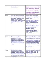 Konspekts 'Ortoģenēzes tabula divu - trīs gadu vecumposmam', 5.