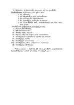 Konspekts 'Muzeja darba plānošana', 4.