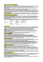 Konspekts 'Konspekts vadības teorijā', 1.