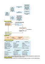 Konspekts 'Konspekts vadības teorijā', 9.
