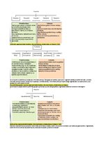 Konspekts 'Konspekts vadības teorijā', 13.