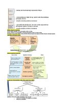 Konspekts 'Konspekts vadības teorijā', 15.