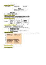 Konspekts 'Konspekts vadības teorijā', 16.