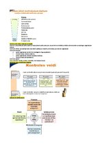 Konspekts 'Konspekts vadības teorijā', 17.