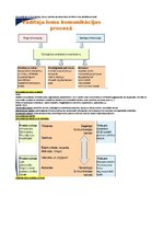Konspekts 'Konspekts vadības teorijā', 19.