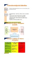 Konspekts 'Konspekts vadības teorijā', 23.