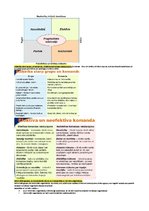 Konspekts 'Konspekts vadības teorijā', 24.