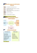 Konspekts 'Konspekts vadības teorijā', 25.