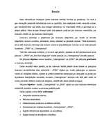 Referāts 'Dzimumu stereotipi žurnālos "FHM" un "Cosmopolitan"', 5.