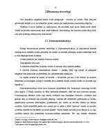 Referāts 'Dzimumu stereotipi žurnālos "FHM" un "Cosmopolitan"', 13.