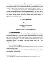 Referāts 'Dzimumu stereotipi žurnālos "FHM" un "Cosmopolitan"', 22.