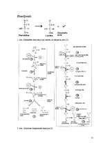 Referāts 'Laktāta metabolisms cilvēka organismā un to ietekmējošie faktori', 31.