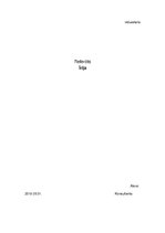 Referāts 'Īrija', 1.