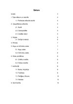 Referāts 'Īrija', 2.