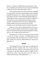 Referāts 'Īrija', 5.