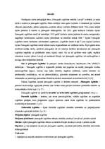 Referāts 'Pieaugušo izglītības attīstība Latvijā', 3.