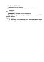 Referāts 'Pieaugušo izglītības attīstība Latvijā', 4.