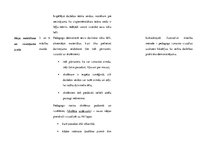 Konspekts 'Dizains un tehnoloģijas 2.-6. klasei', 5.