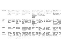 Konspekts 'Dizains un tehnoloģijas 2.-6. klasei', 13.