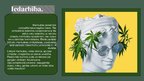 Prezentācija 'Atkarība no marihuānas', 4.