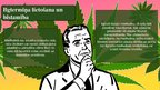 Prezentācija 'Atkarība no marihuānas', 5.