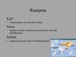 Prezentācija 'Pasaules piesārņotākās vietas pēc 2010.gada datiem', 20.