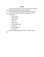 Referāts 'Terciālais sektors - aviotransports', 10.