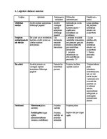 Referāts 'Atpūtas centra izveide', 18.