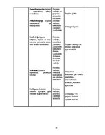 Referāts 'Atpūtas centra izveide', 19.