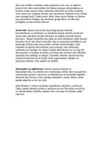 Konspekts 'Sparta pret Atēnām', 2.