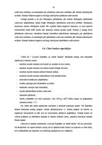 Diplomdarbs 'AS "Latvijas Hipotēku un zemes banka" kredītpolitika', 58.