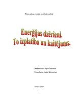 Referāts 'Enerģijas dzērieni, to izplatība un kaitējums', 1.