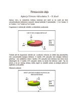 Referāts 'Enerģijas dzērieni, to izplatība un kaitējums', 16.