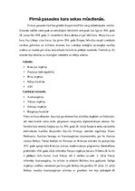 Eseja 'Pirmā pasaules kara sekas mūsdienās', 1.