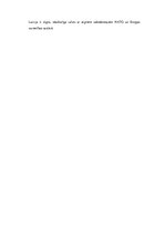 Eseja 'Pirmā pasaules kara sekas mūsdienās', 5.