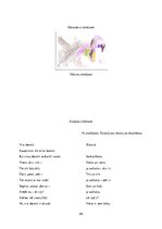 Diplomdarbs 'Daiļliteratūra un folklora vecākā pirmsskolas vecuma bērnu vārdu krājuma paplaši', 84.