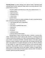 Diplomdarbs 'Tīkla mārketinga attīstība Latvijā', 13.