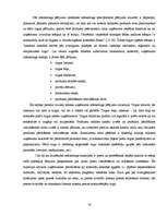 Diplomdarbs 'Tīkla mārketinga attīstība Latvijā', 14.