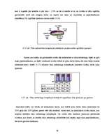 Diplomdarbs 'Tīkla mārketinga attīstība Latvijā', 46.