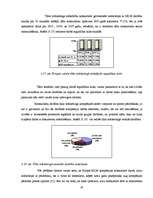 Diplomdarbs 'Tīkla mārketinga attīstība Latvijā', 47.