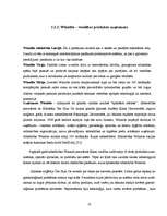 Diplomdarbs 'Tīkla mārketinga attīstība Latvijā', 57.