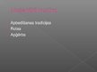 Prezentācija 'Dzelzs laikmets Latvijas teritorijā. Lībieši', 7.