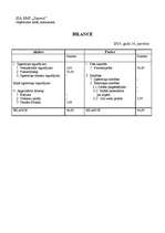 Paraugs 'Grāmatvedība skolēnu mācību firmā (SMF)', 3.