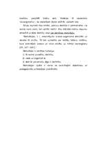 Referāts 'Mācību motivācijas pedagoģiski psiholoģiskie aspekti', 19.