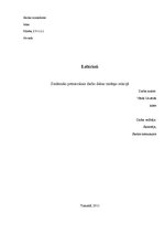 Referāts 'Labirinti', 1.