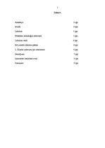 Referāts 'Labirinti', 2.