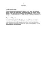 Referāts 'Labirinti', 3.