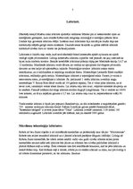 Referāts 'Labirinti', 5.