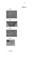 Referāts 'Labirinti', 10.